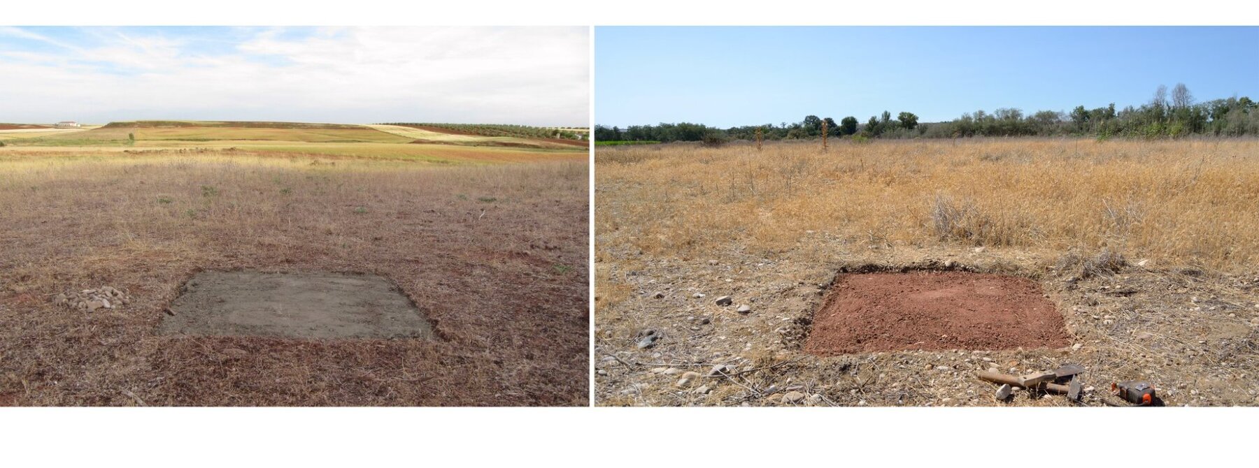 Transposed Displaced Transplanted